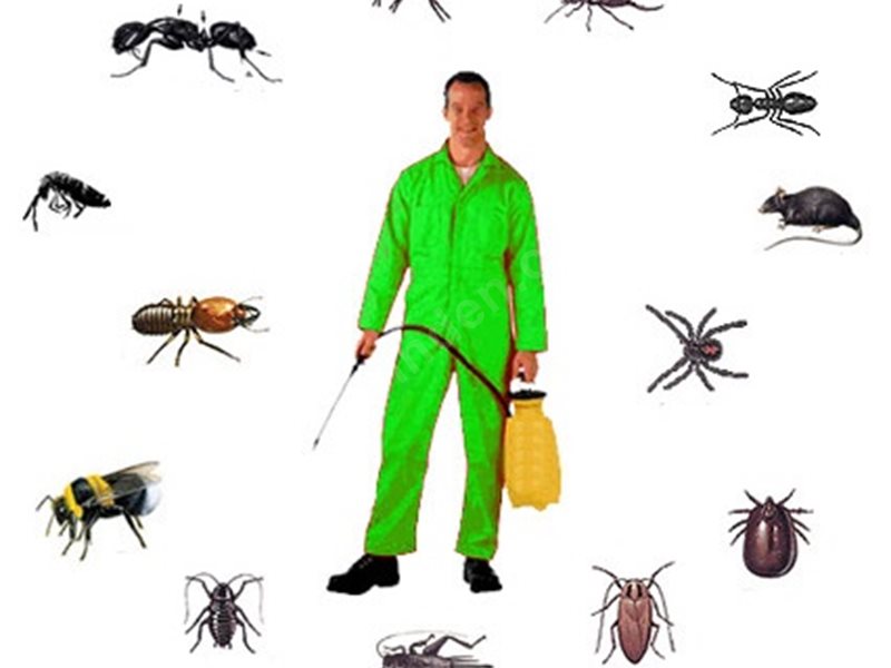 Sındırgı Böcek İlaçlama