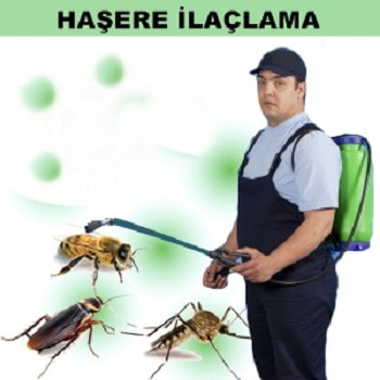 Sındırgı Böcek İlaçlama